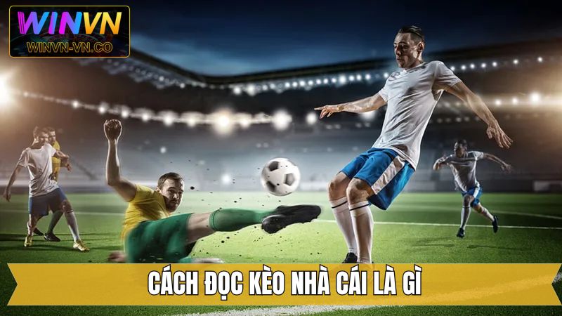 Kèo Tài Xỉu Là Gì - Mẹo Đọc Kèo Cực Dễ Cho Các Thành Viên 3 Kèo tài xỉu là gì và cách đọc cực kỳ hiệu quả