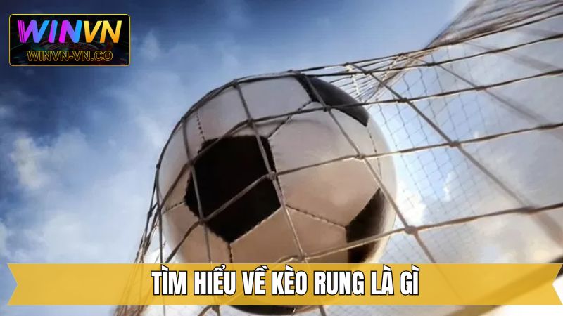 Cược thủ cần nắm vững kèo rung là gì 