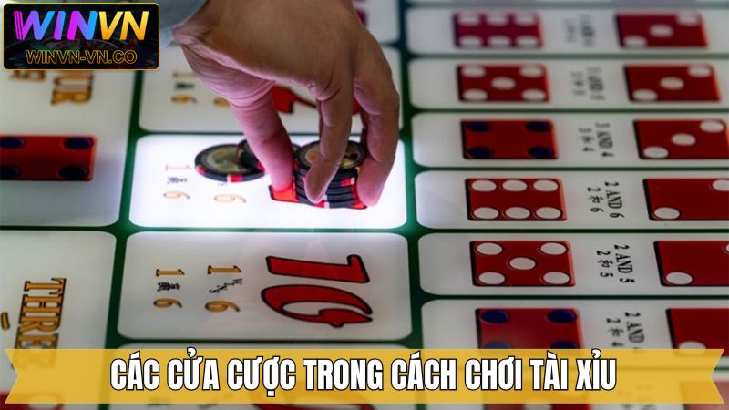 Cách Chơi Tài Xỉu - Chinh Phục Ván Đấu Dễ Dàng Từ Winvn 4 Cách chơi tài xỉu cùng các cửa cược phổ biến