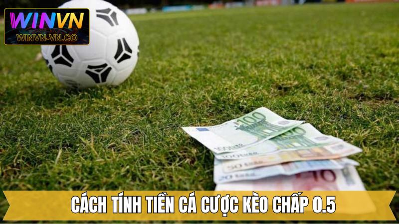 Chấp 0.5 - Cách Đọc Kèo Và Kinh Nghiệm Cá Cược Tại Winvn 3 Hướng dẫn tính tiền cho kèo chấp 0.5 dễ hiểu