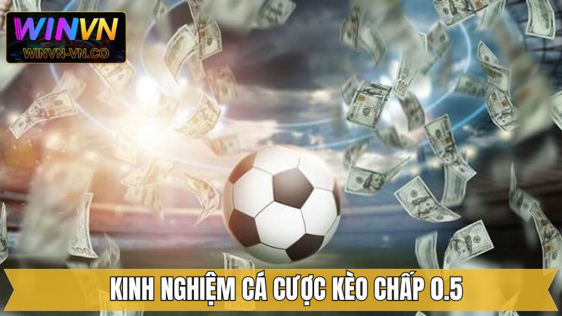 Chấp 0.5 - Cách Đọc Kèo Và Kinh Nghiệm Cá Cược Tại Winvn 4 Theo dõi dữ liệu lịch sử đối đầu trước khi xuống tiền