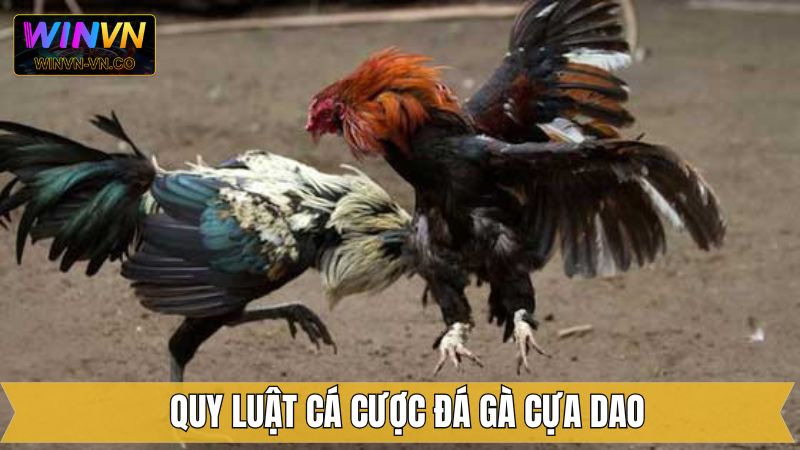 Bật mí luật chơi với những nội dung quan trọng