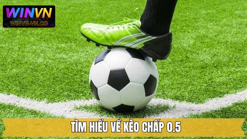 Chấp 0.5 - Cách Đọc Kèo Và Kinh Nghiệm Cá Cược Tại Winvn 2 Giải thích chi tiết về tỷ lệ chấp nửa trái